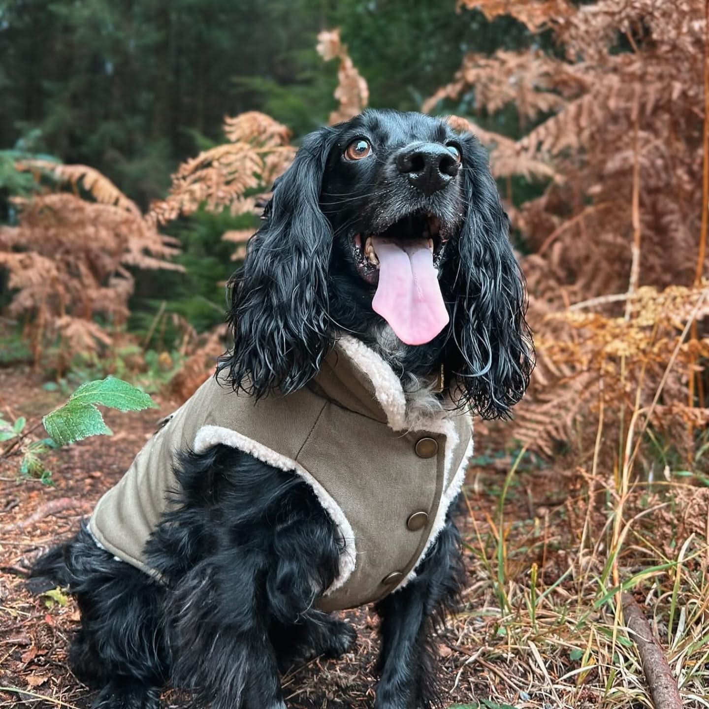 Workdog Insulated Utility Jacket Jackets - Image 10