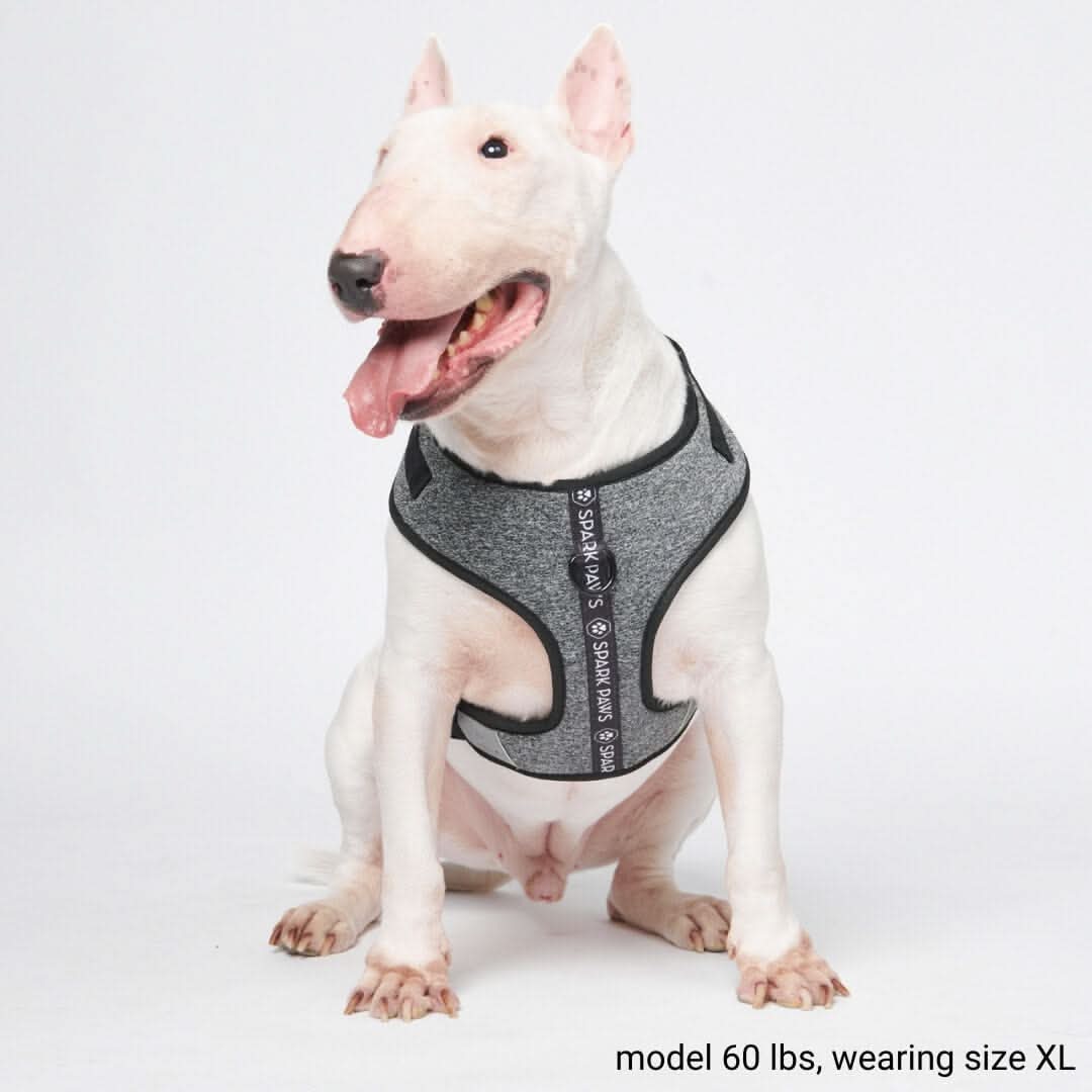 Ultra-Soft Activewear Harness (Multi Color) - Image 4