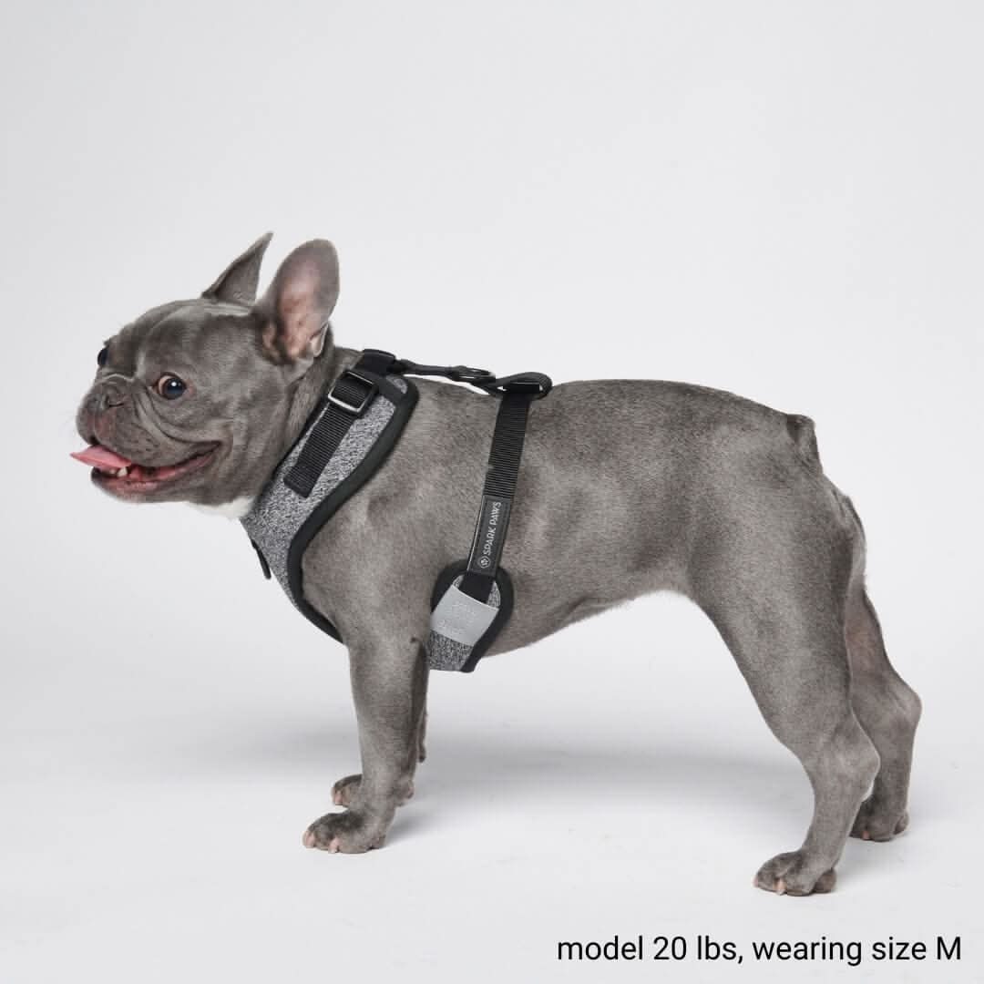 Ultra-Soft Activewear Harness - Grey - Image 5