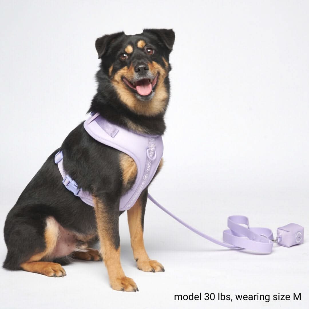 Ultra-Soft Activewear Harness Set - Lilac - Image 6