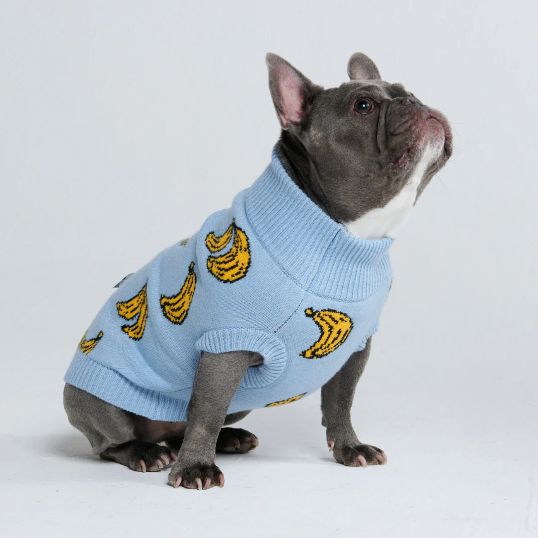 Banana Knit Dog Sweater - Image 4