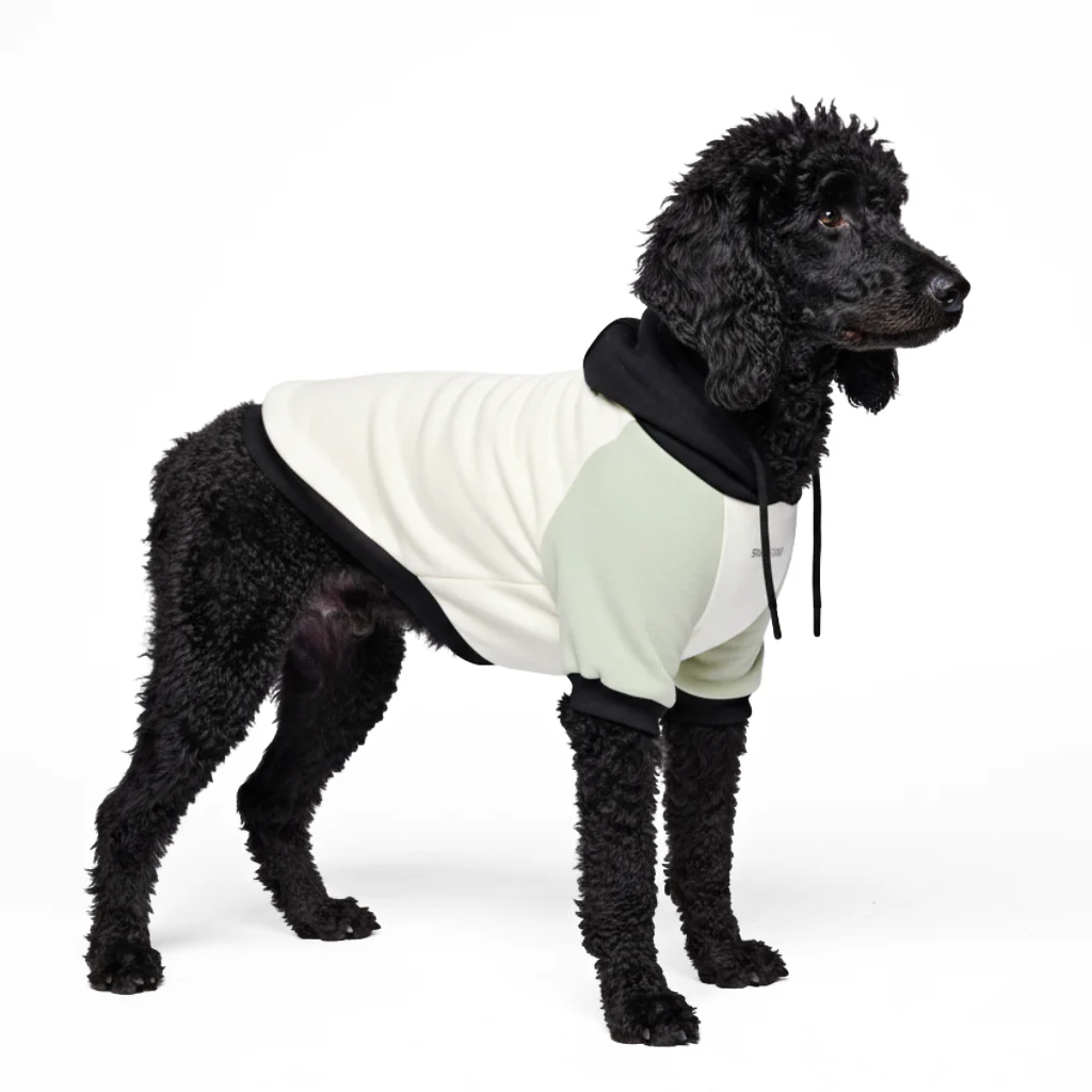 Olive Cream Dog Hoodie - Image 6