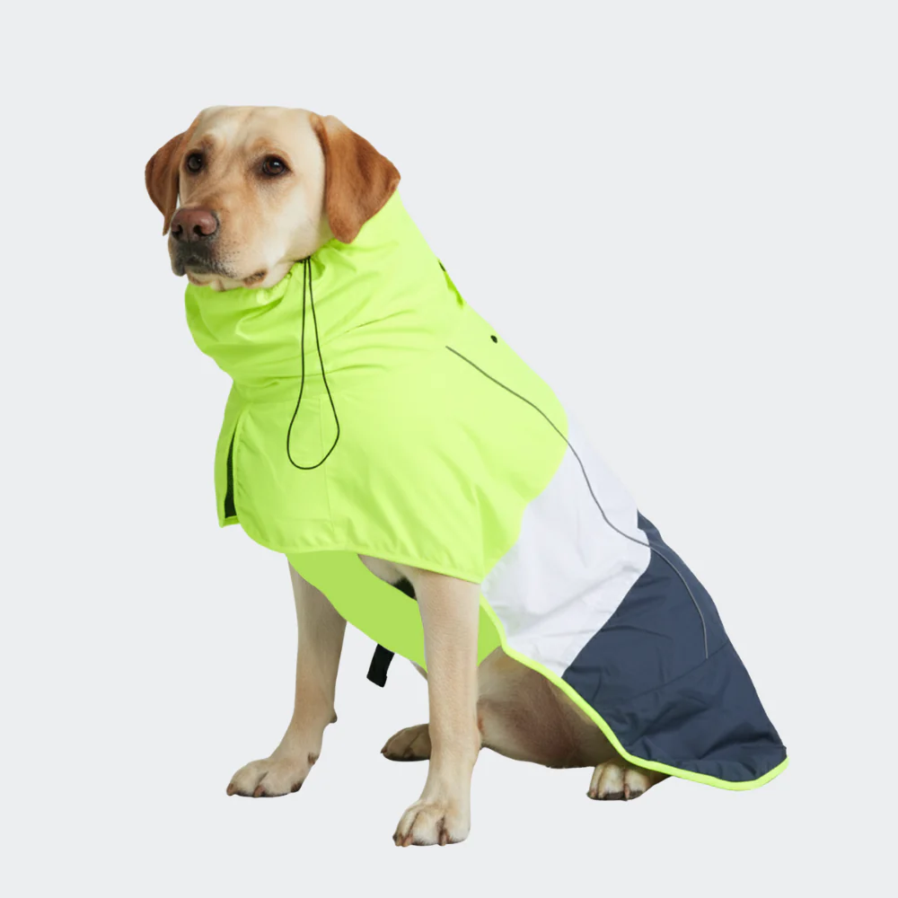 Breatheshield™ Dog Raincoat - Lime White Navy - Image 5
