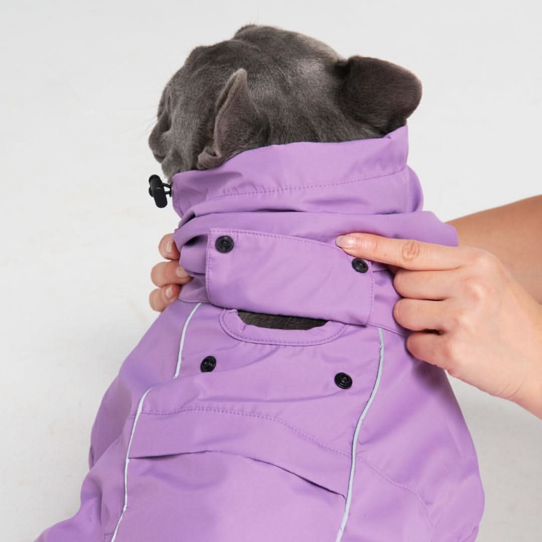 Breatheshield™ Dog Raincoat (Multi-Color) - Image 49