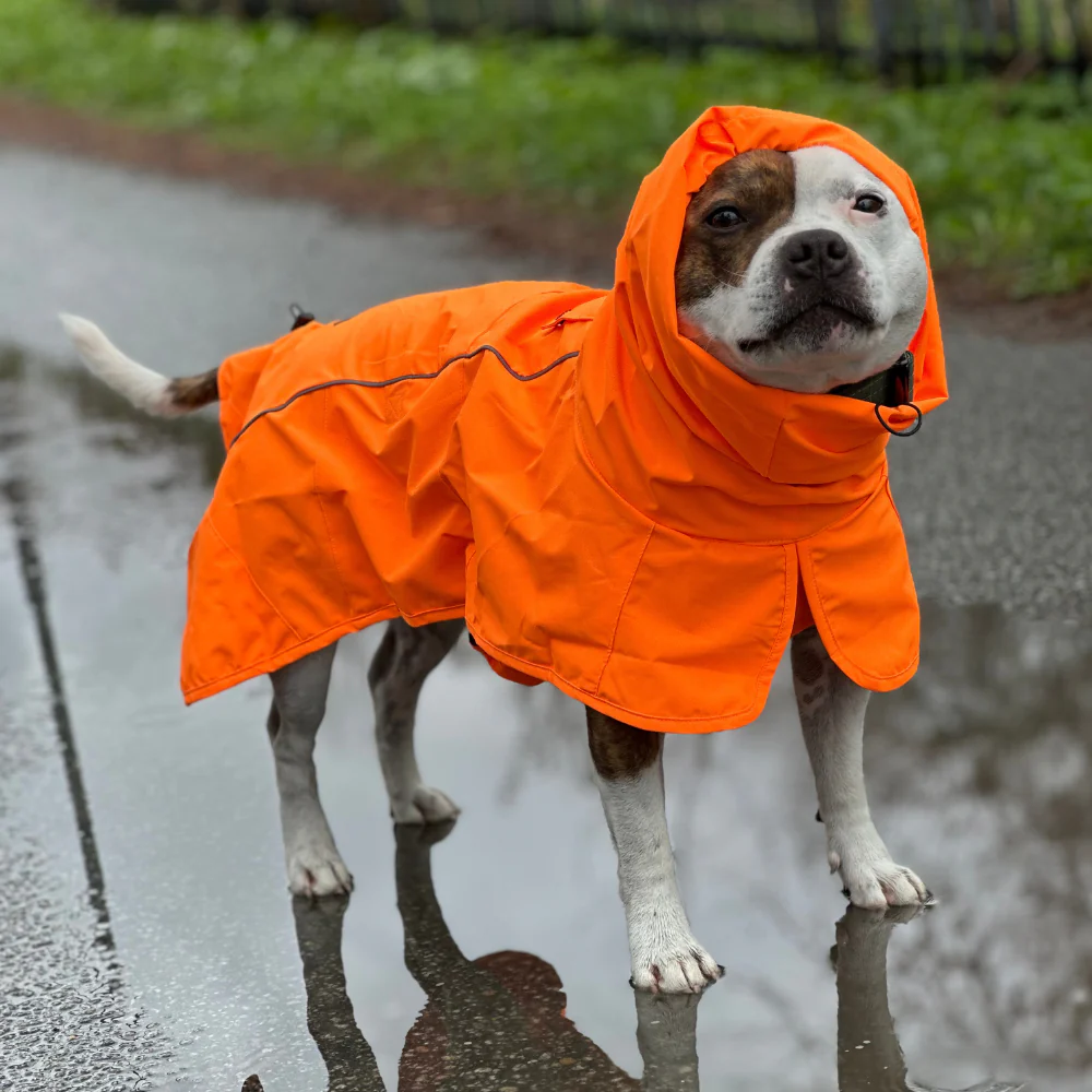 Breatheshield™ Dog Raincoat (Multi-Color) - Image 72