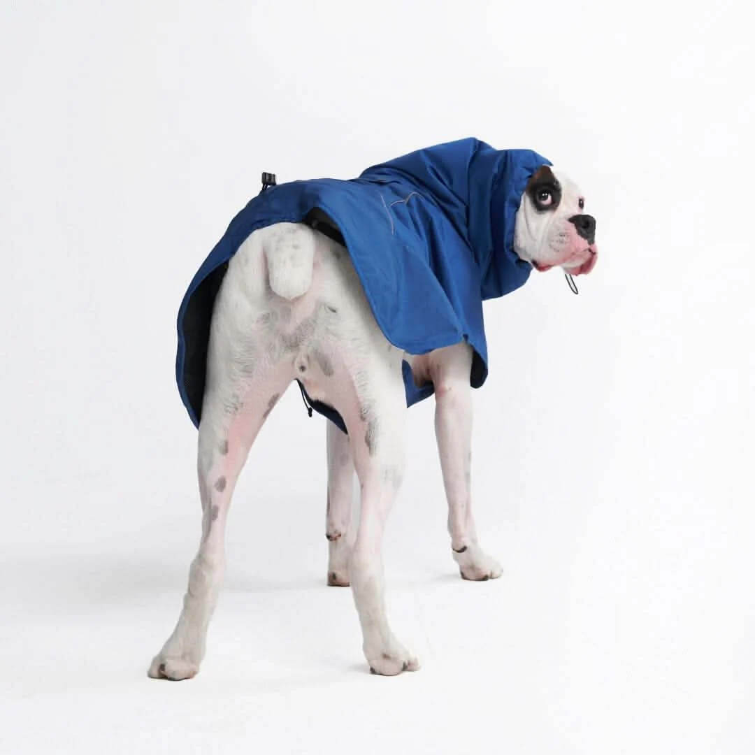 Breatheshield™ Dog Raincoat (Multi-Color) - Image 76