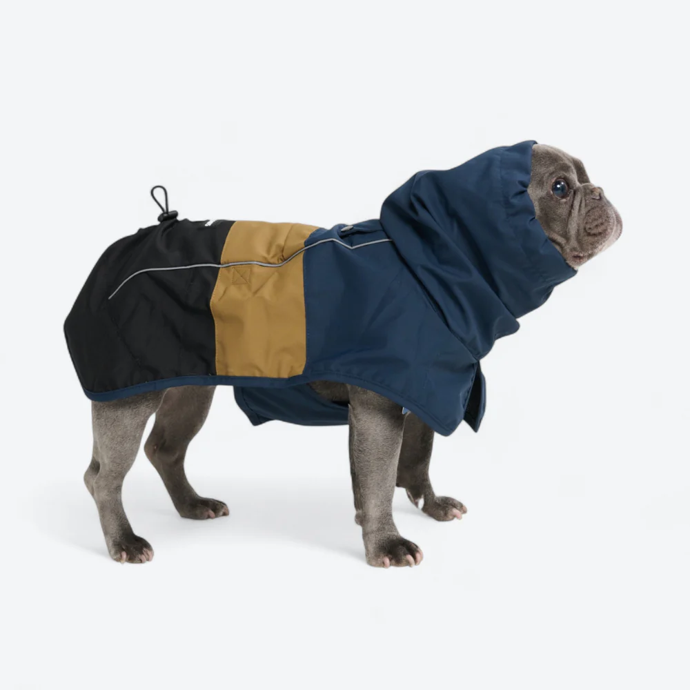 Breatheshield™ Dog Raincoat (Multi-Color) - Image 81