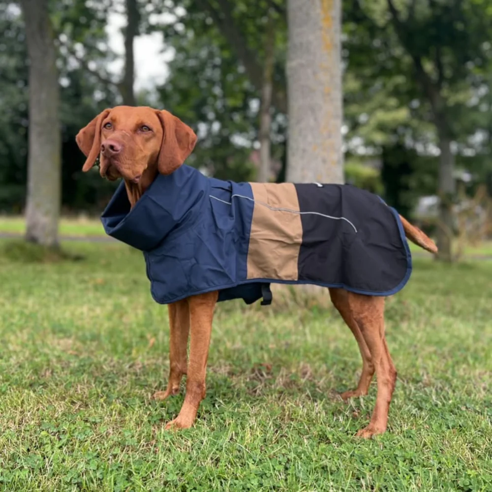 Breatheshield™ Dog Raincoat (Multi-Color) - Image 87