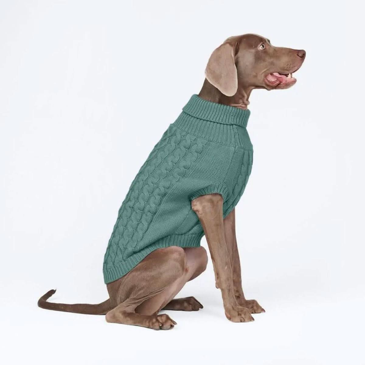 Cable Knit Dog Sweater - Pine Green - Image 4