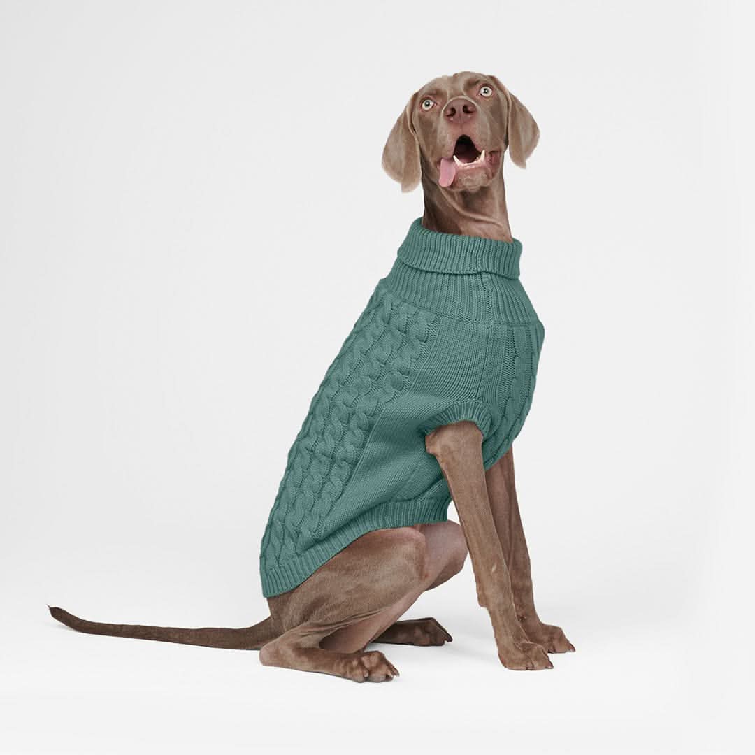 Cable Knit Dog Sweater - Pine Green - Image 5