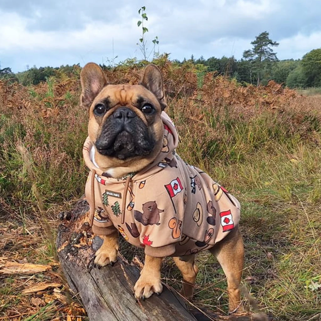 The Canada Dog Hoodie - Image 11