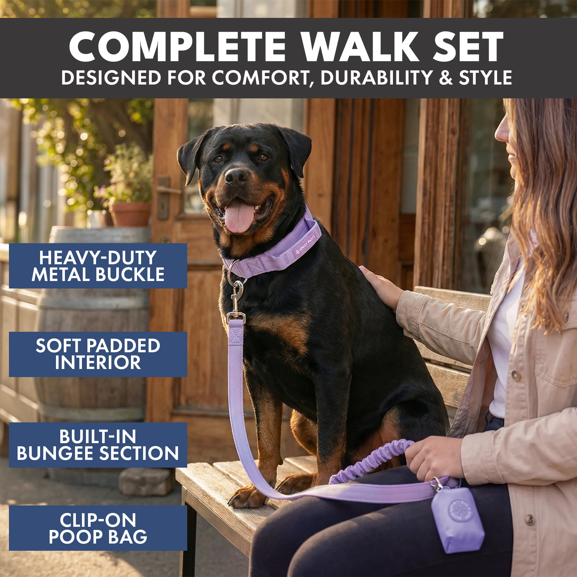 Comfort Control Collar and Multipurpose Leash Sets - Image 46