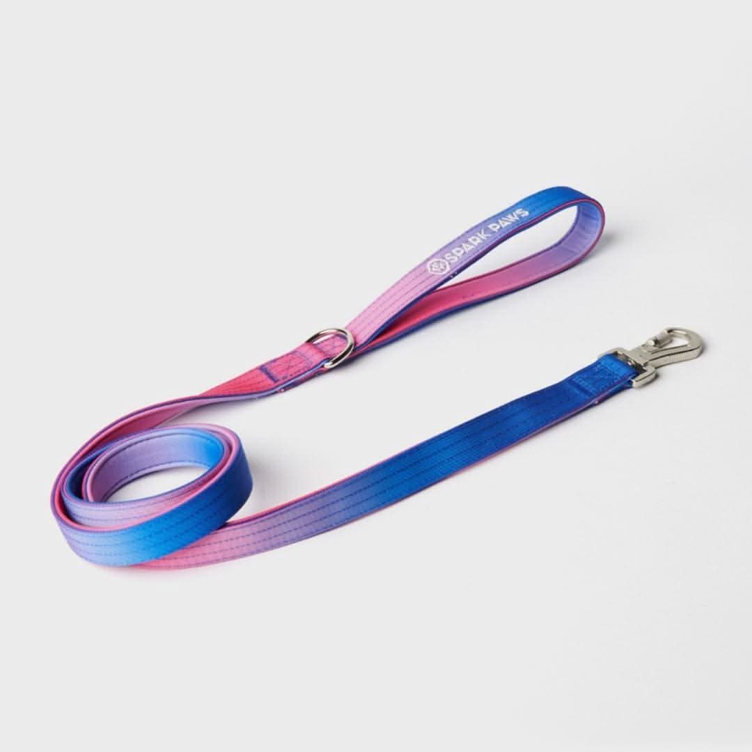 Comfort Control Dog Leash (Multi Color) - Image 5