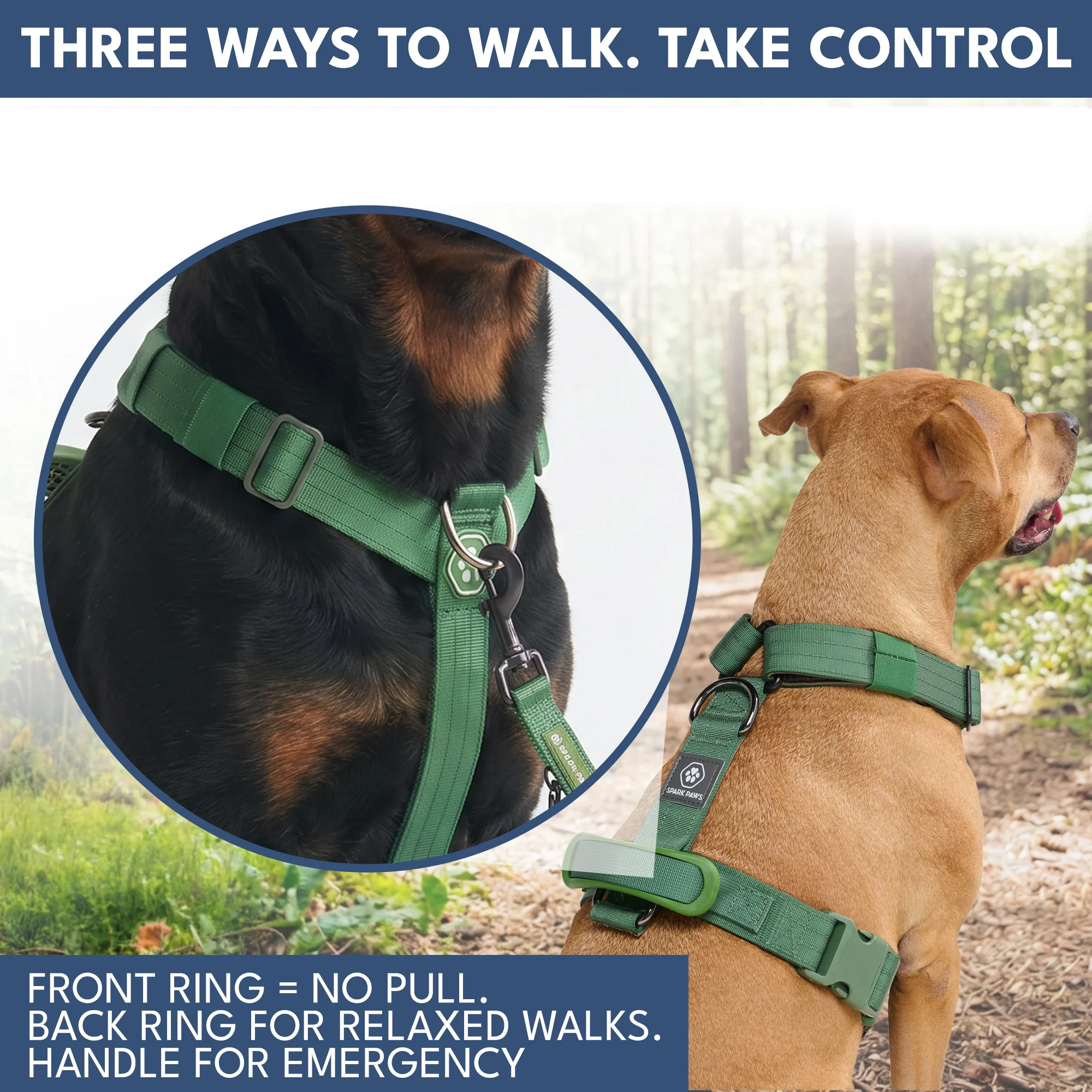 Comfort Control No-Pull Dog Harness and Multipurpose Leash Sets - Image 16
