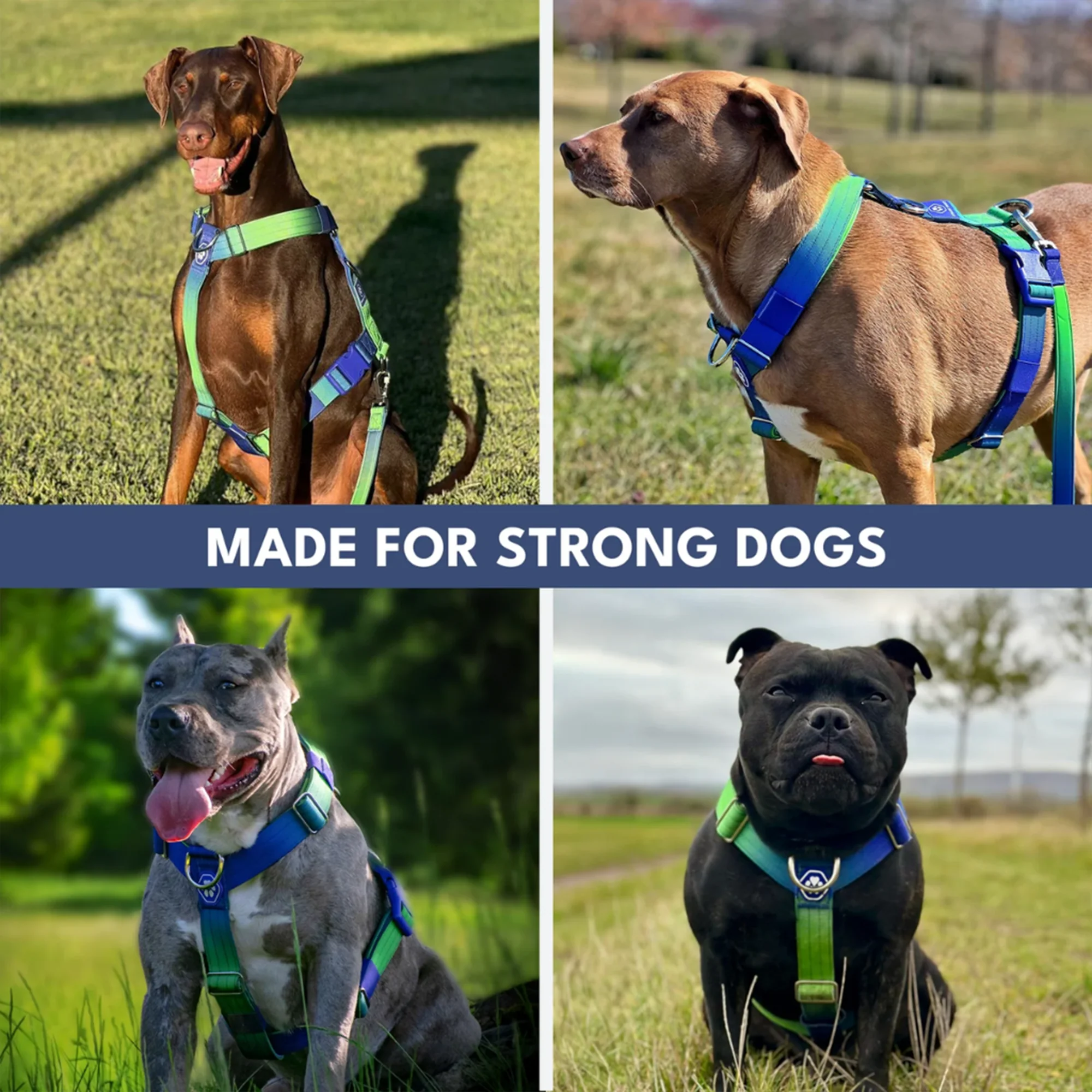 Comfort Control No-Pull Dog Harness and Multipurpose Leash Set - Lime Wave - Image 6