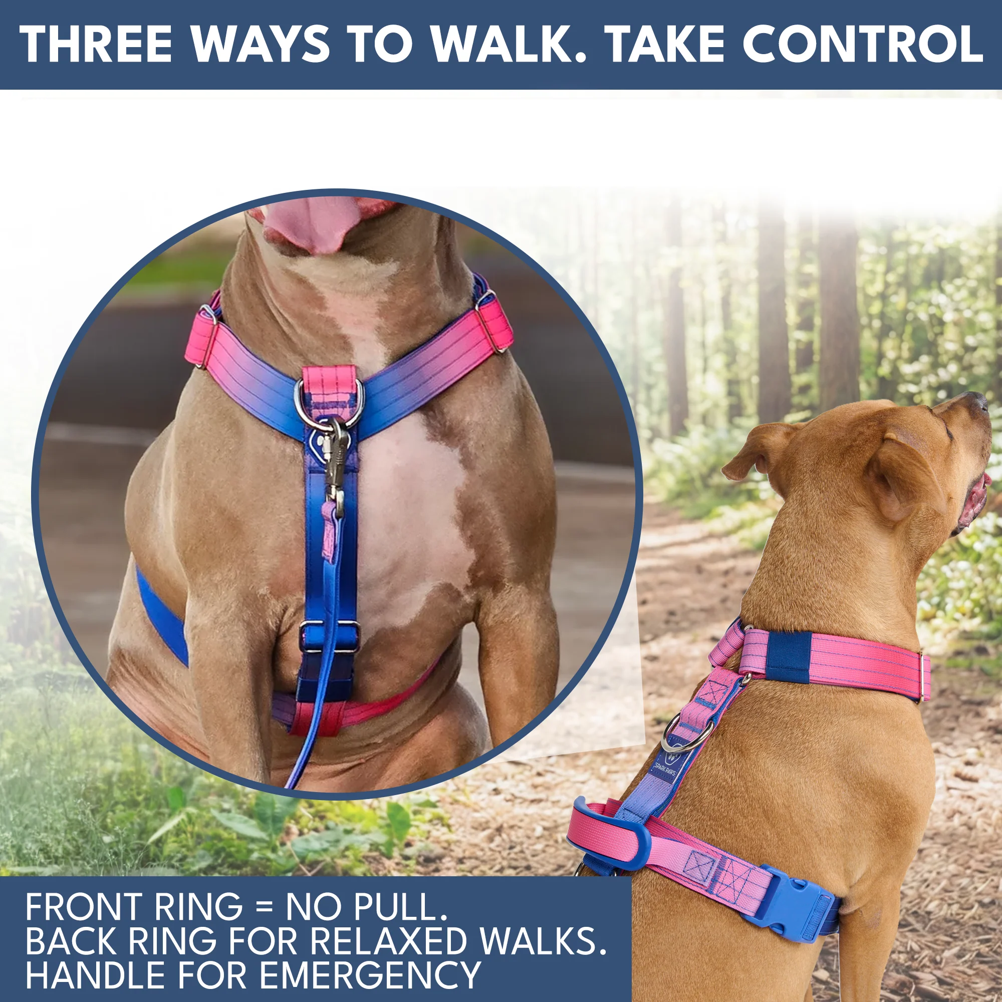 Comfort Control No-Pull Dog Harness and Multipurpose Leash Sets - Image 40
