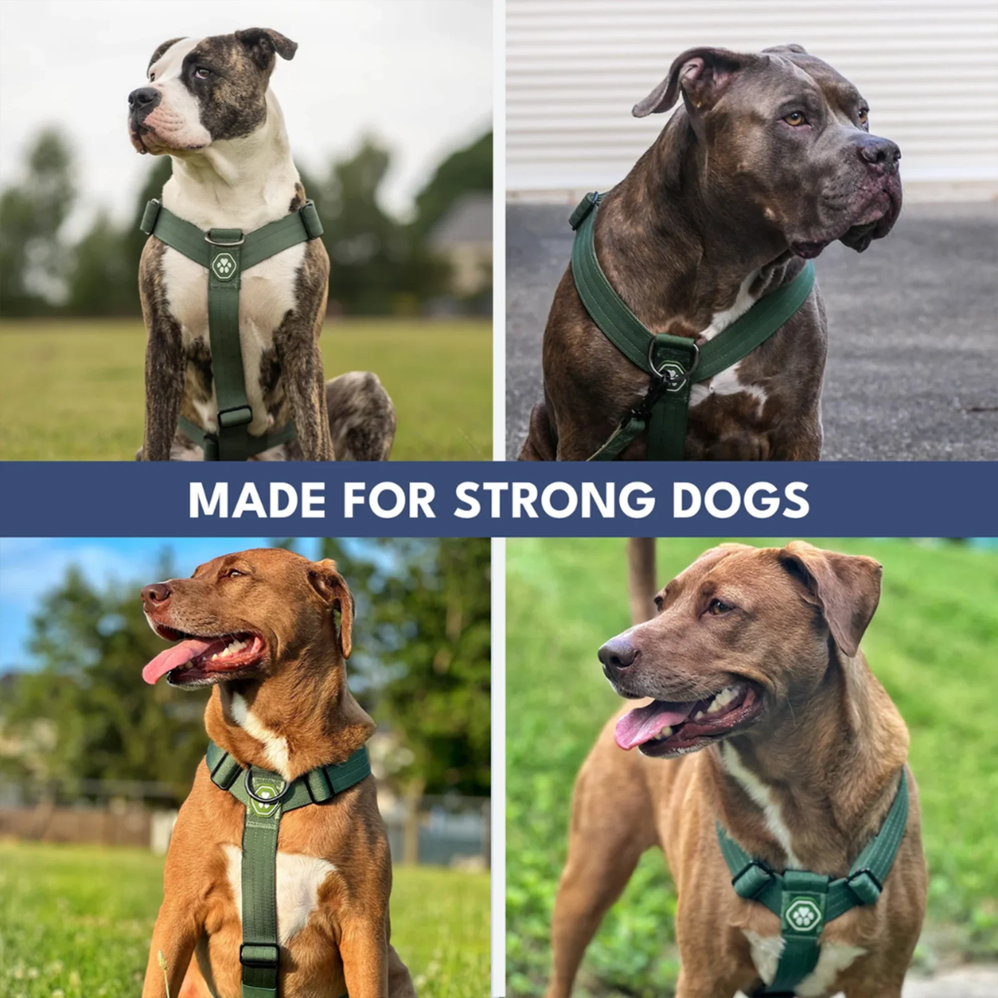 Comfort Control No-Pull Dog Harness and Multipurpose Leash Sets - Image 6