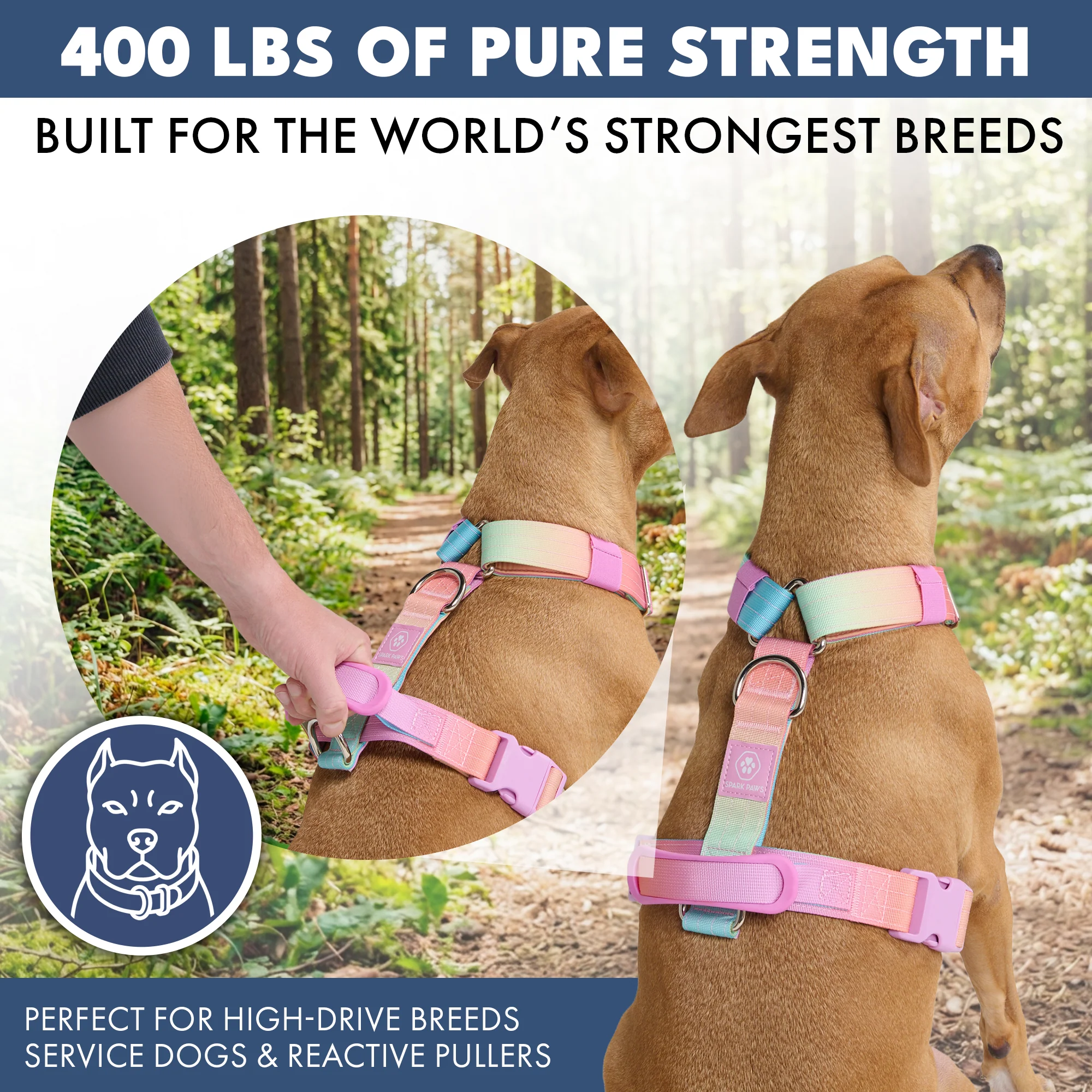 Comfort Control No-Pull Dog Harnesses - Image 12