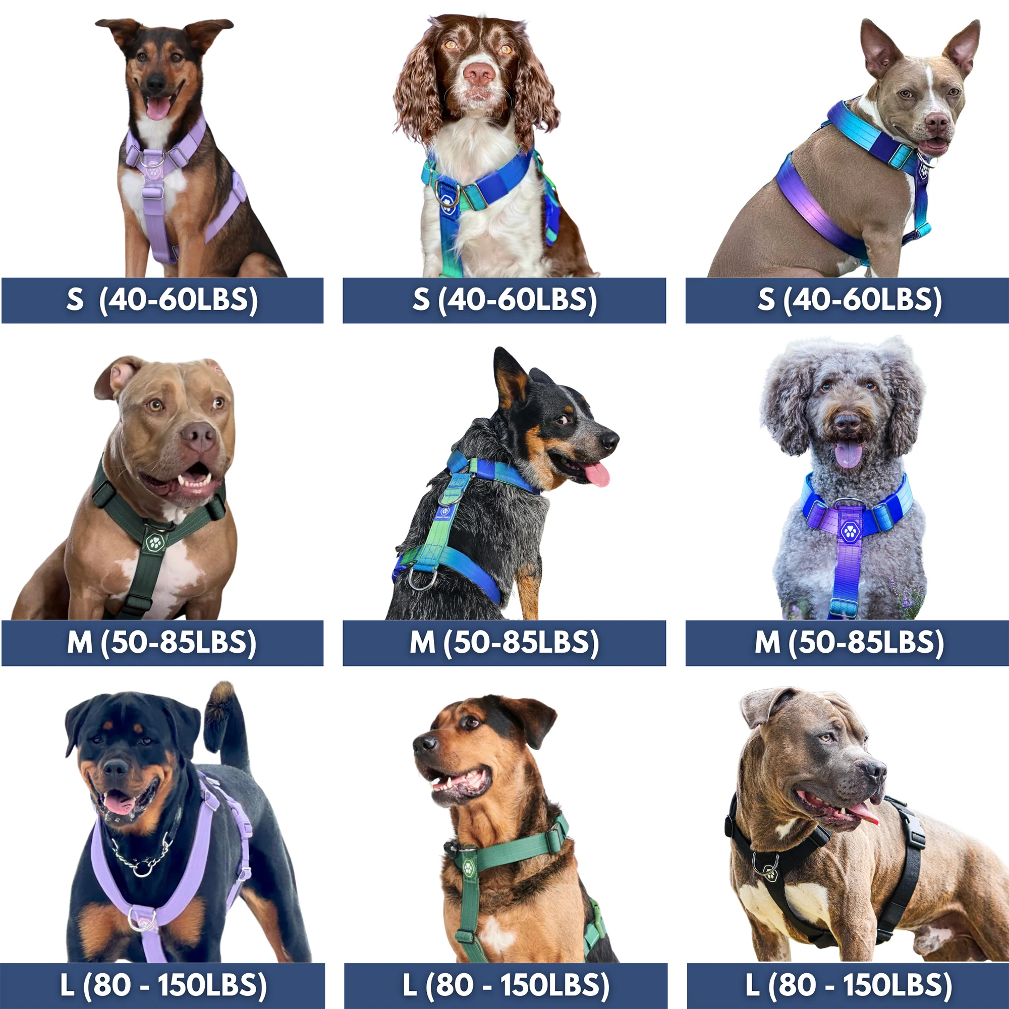 Comfort Control No-Pull Dog Harness - Green - Image 6