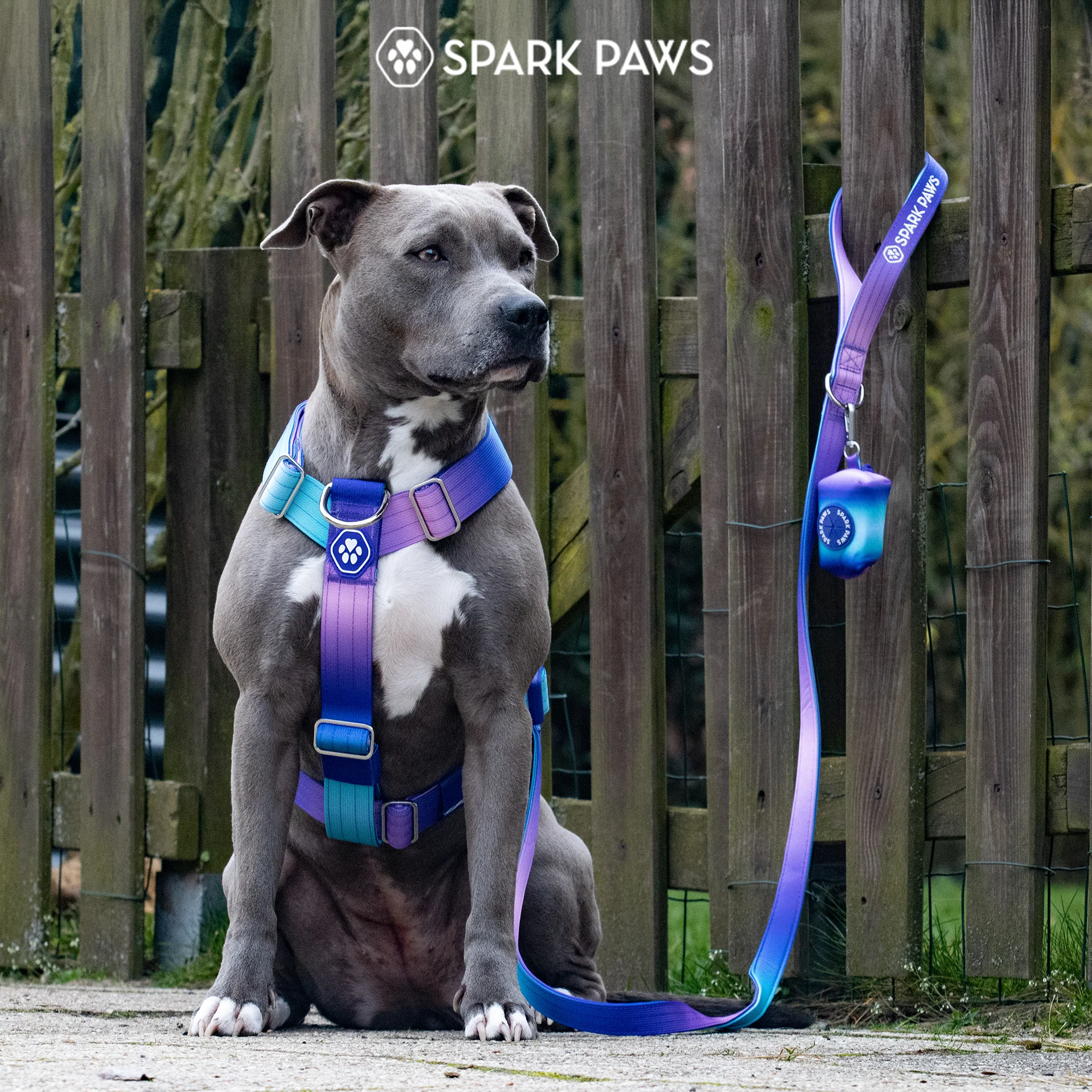 Comfort Control No-Pull Dog Harnesses - Image 8