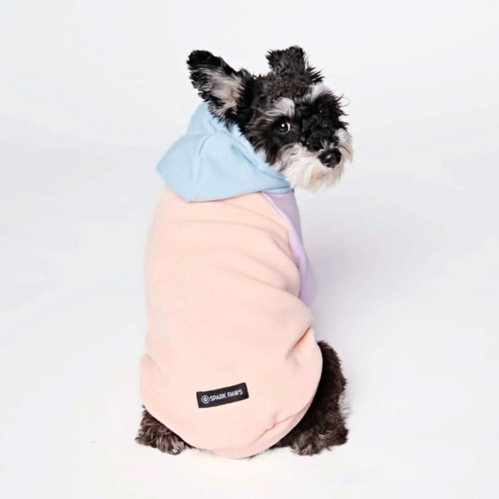 Cotton Candy Dog Hoodie - Image 10
