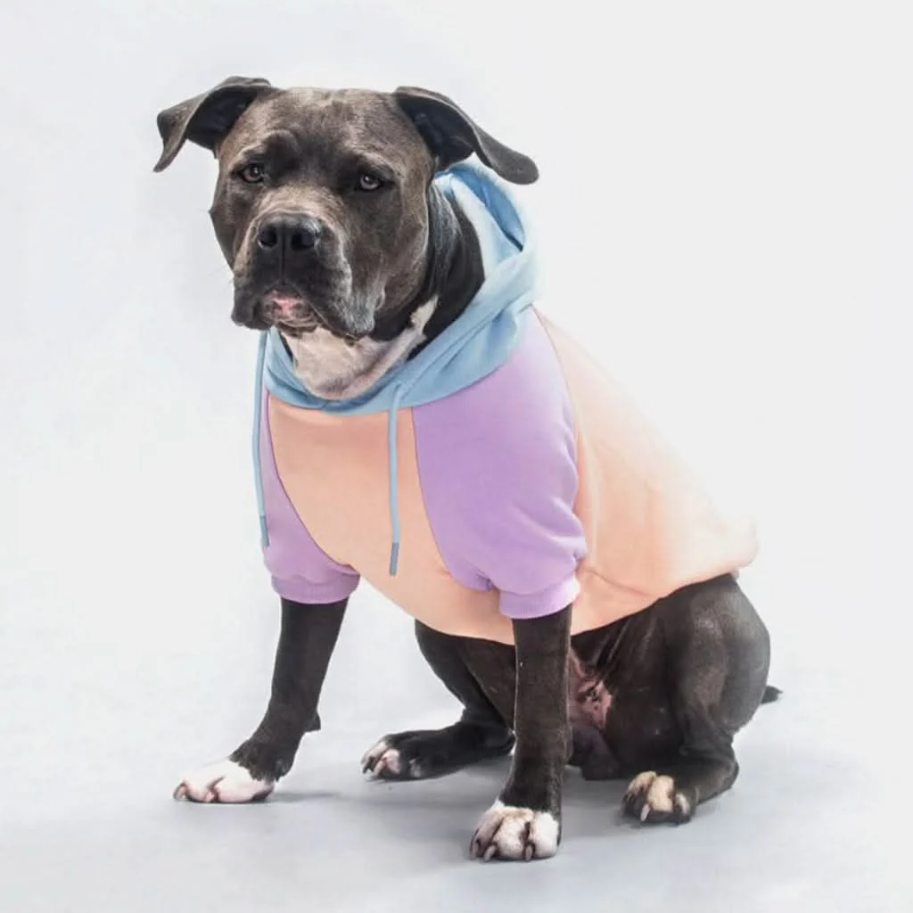 Cotton Candy Dog Hoodie - Image 6