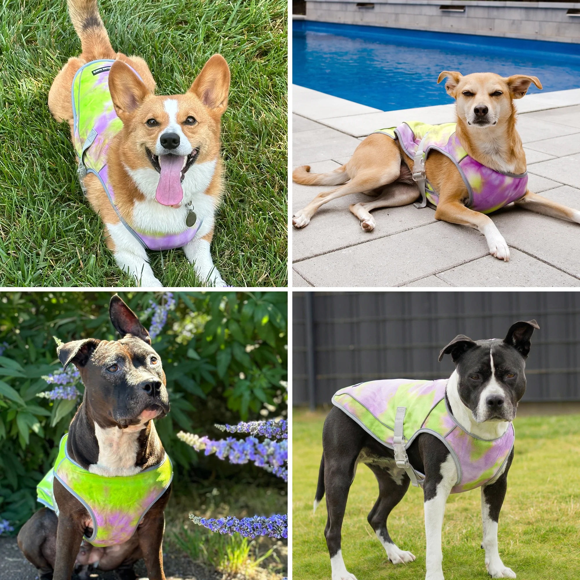 Chilltech™ Dog Cooling Vests - Image 42