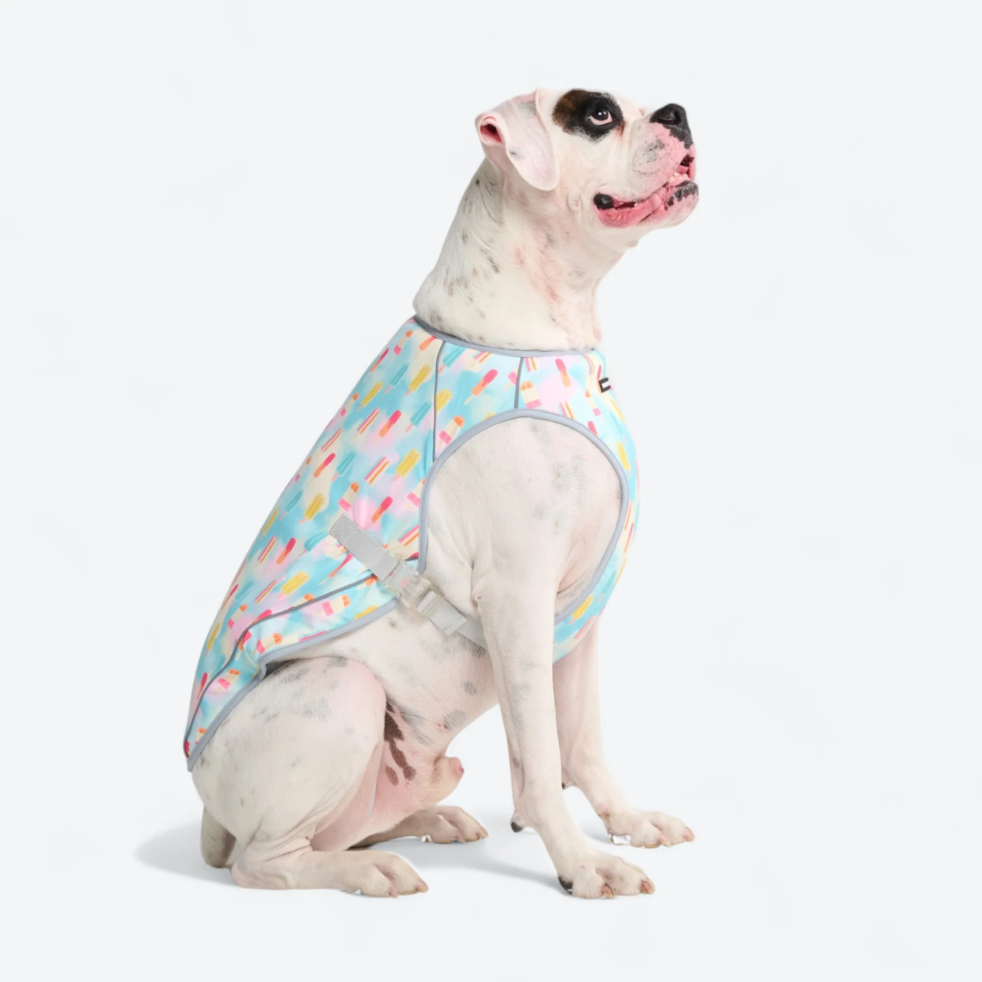 Chilltech™ Dog Cooling Vests - Image 58
