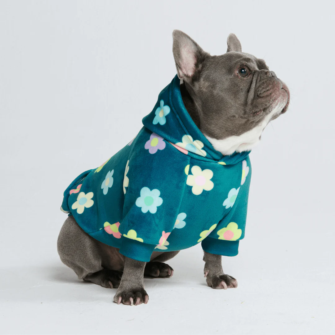 Dog Hoodie Prints - Image 32