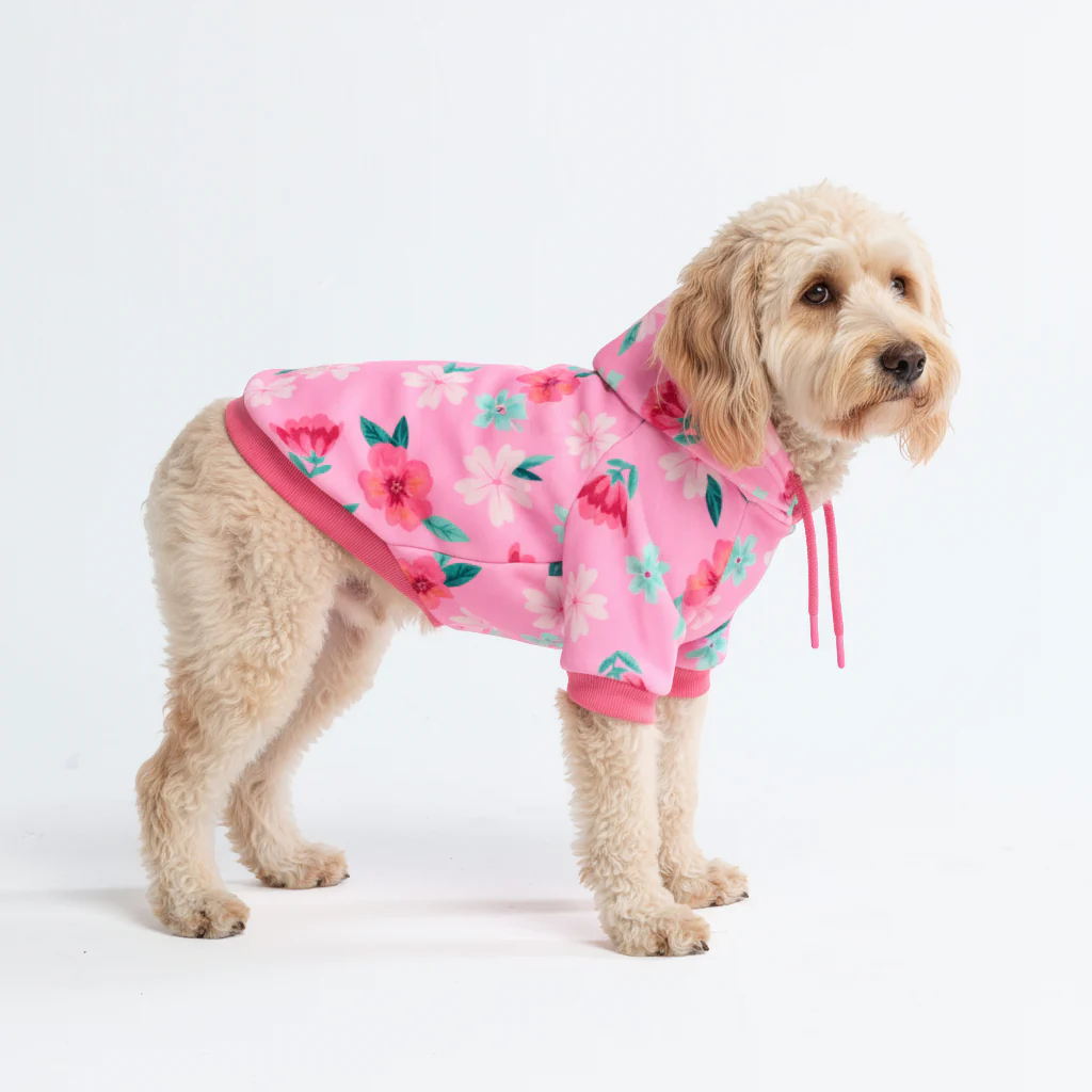 Dog Hoodie Prints - Image 39