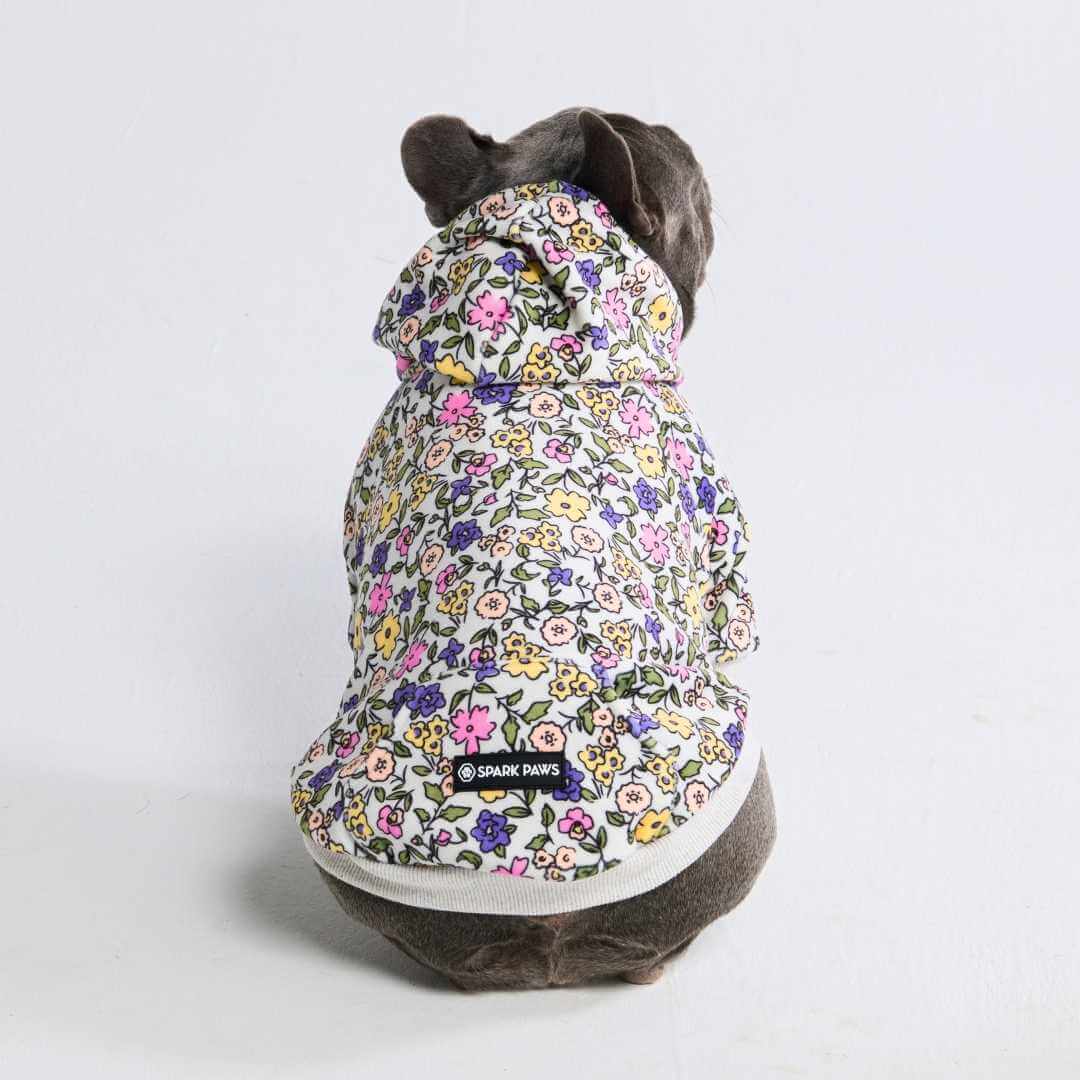 Dog Hoodie Prints - Image 50