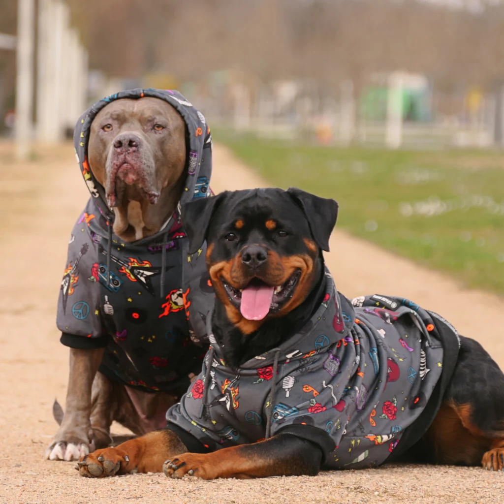 Dog Hoodie Prints - Image 62