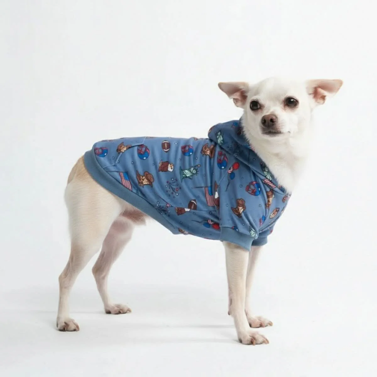 Around the World Dog Hoodies - Image 11
