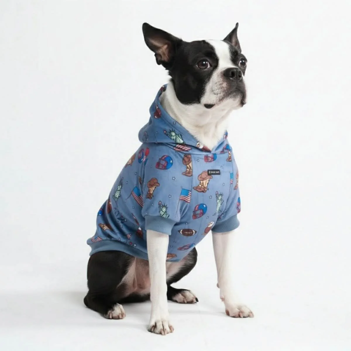 Around the World Dog Hoodies - Image 12