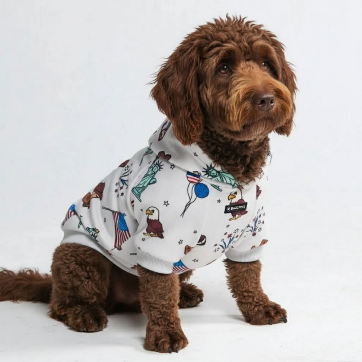 Around the World Dog Hoodies - Image 3