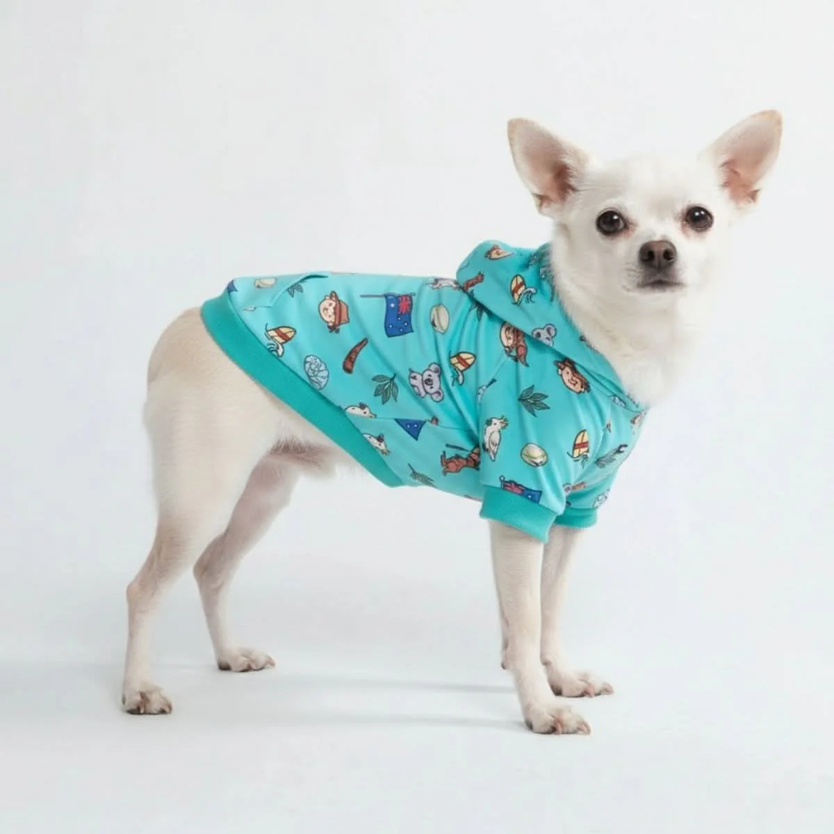 Around the World Dog Hoodies - Image 60