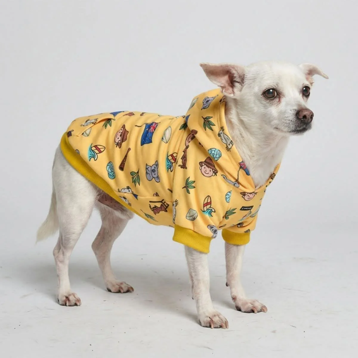 Around the World Dog Hoodies - Image 68