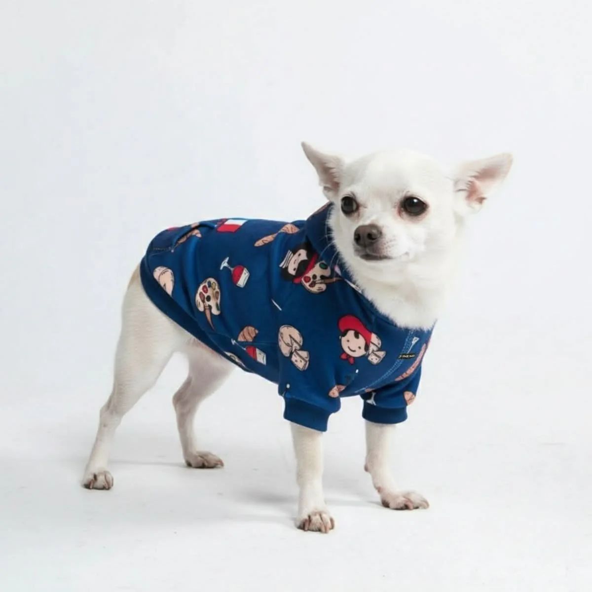 Around the World Dog Hoodies - Image 74