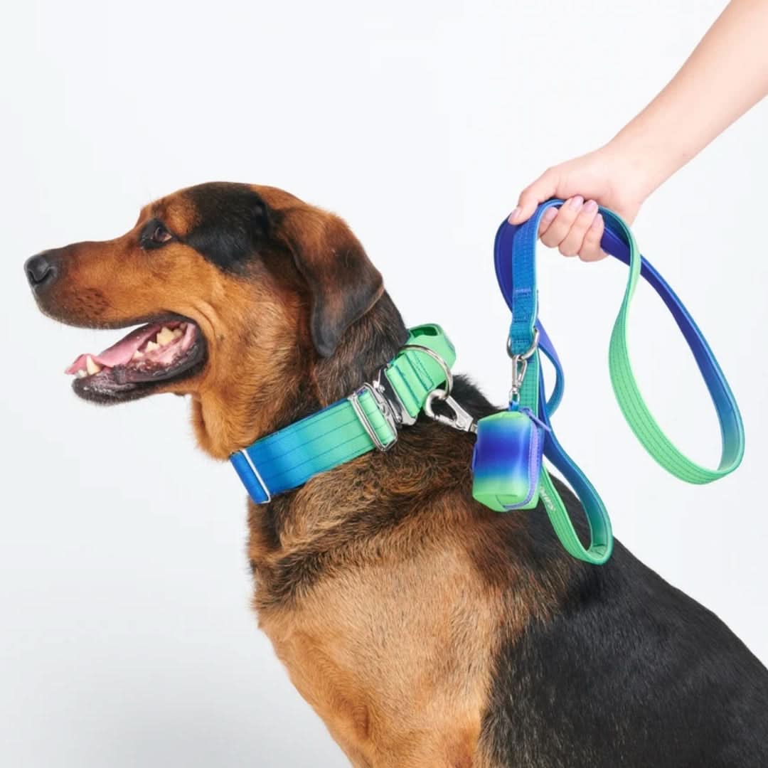 Leash and Poop Bag Holder Set - Image 14
