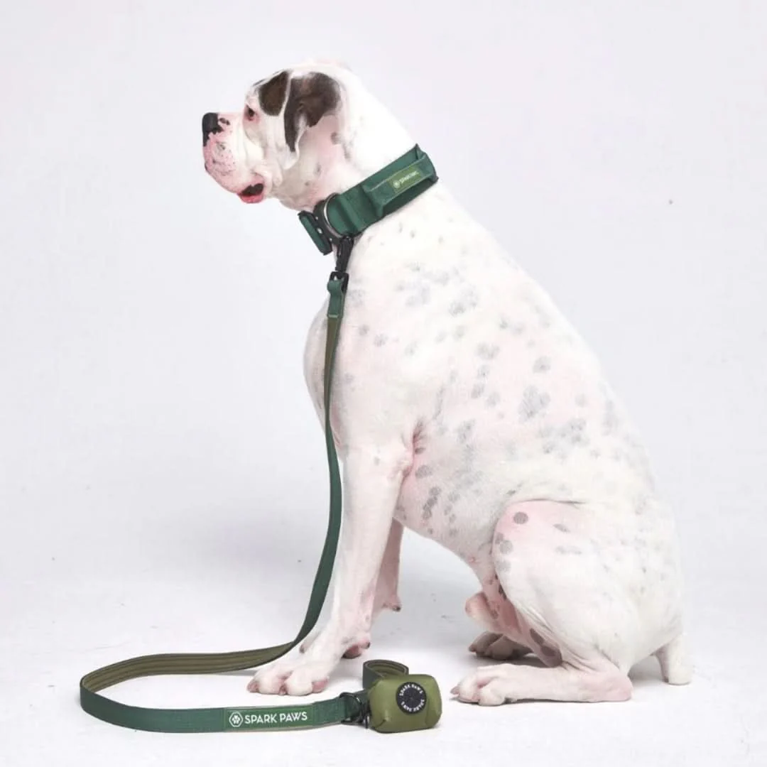 Leash and Poop Bag Holder Set - Image 26