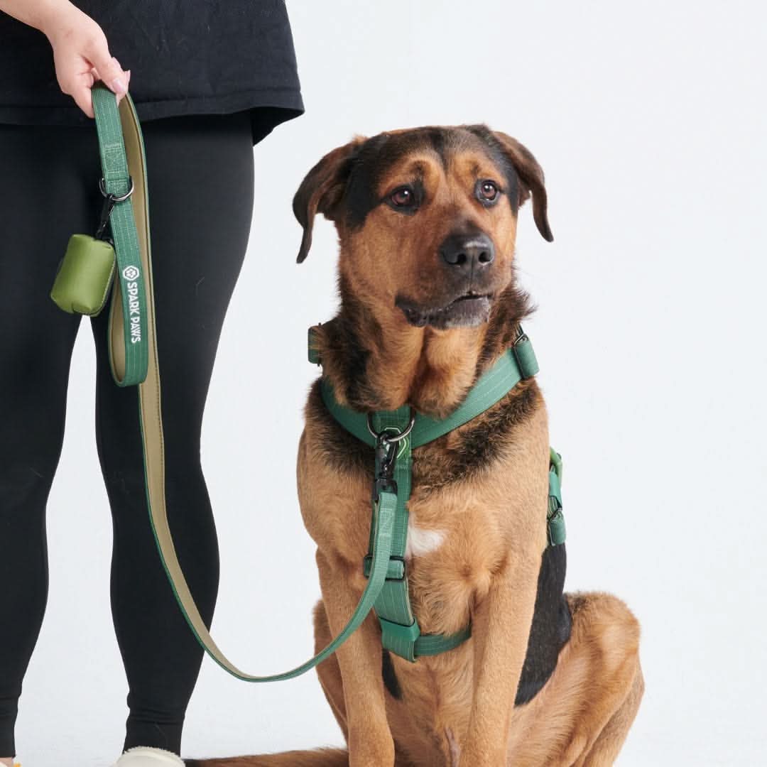 Leash and Poop Bag Holder Set - Image 28