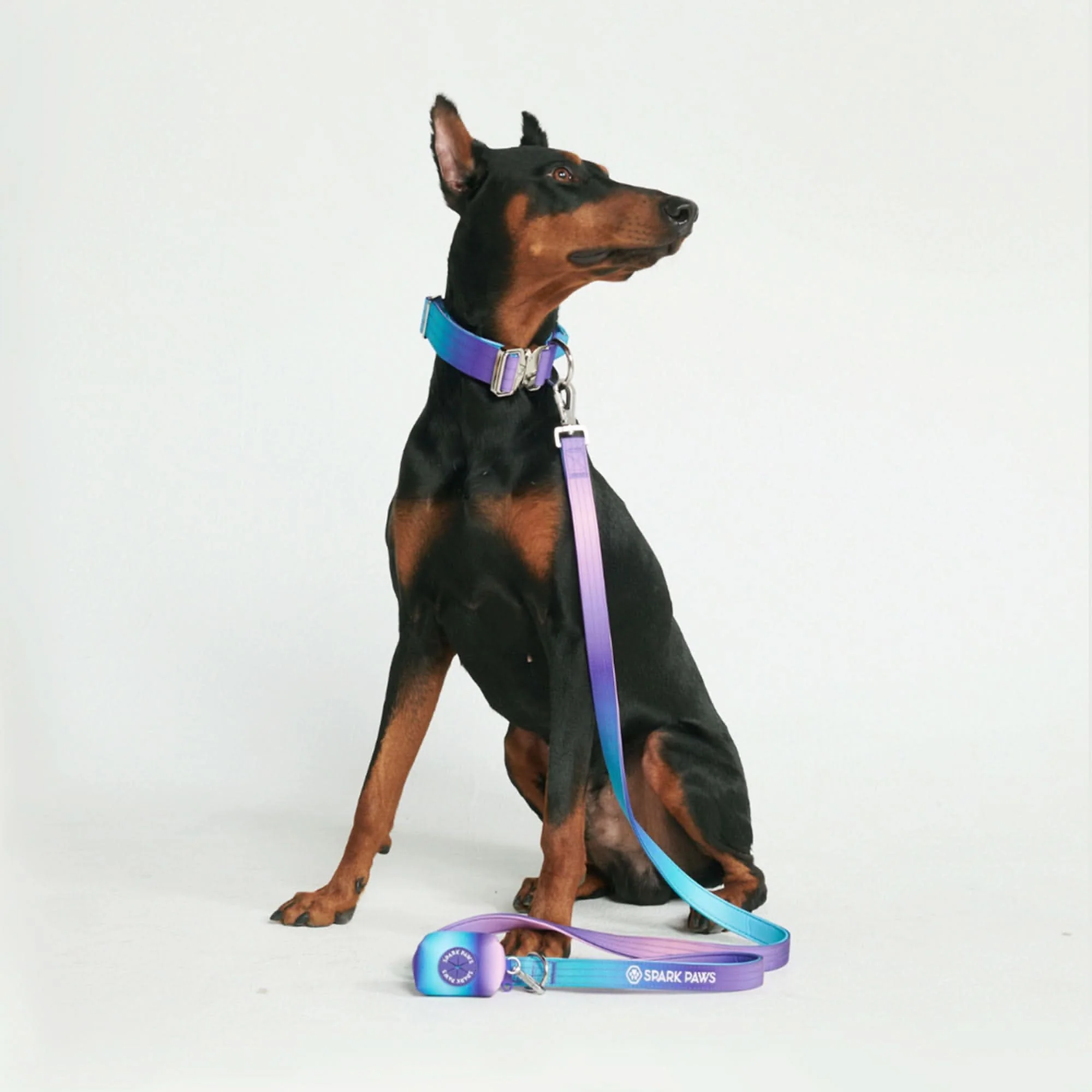 Leash and Poop Bag Holder Set - Image 3