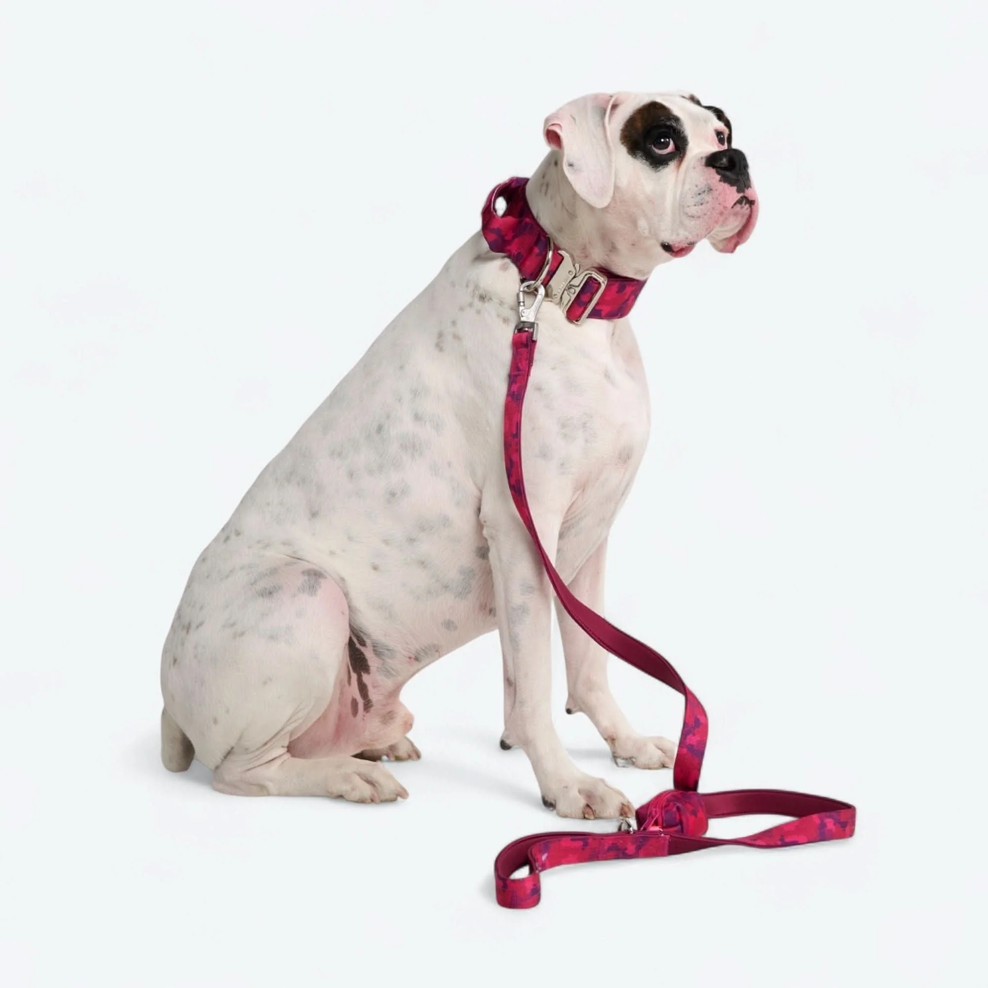 Leash and Poop Bag Holder Set - Image 46