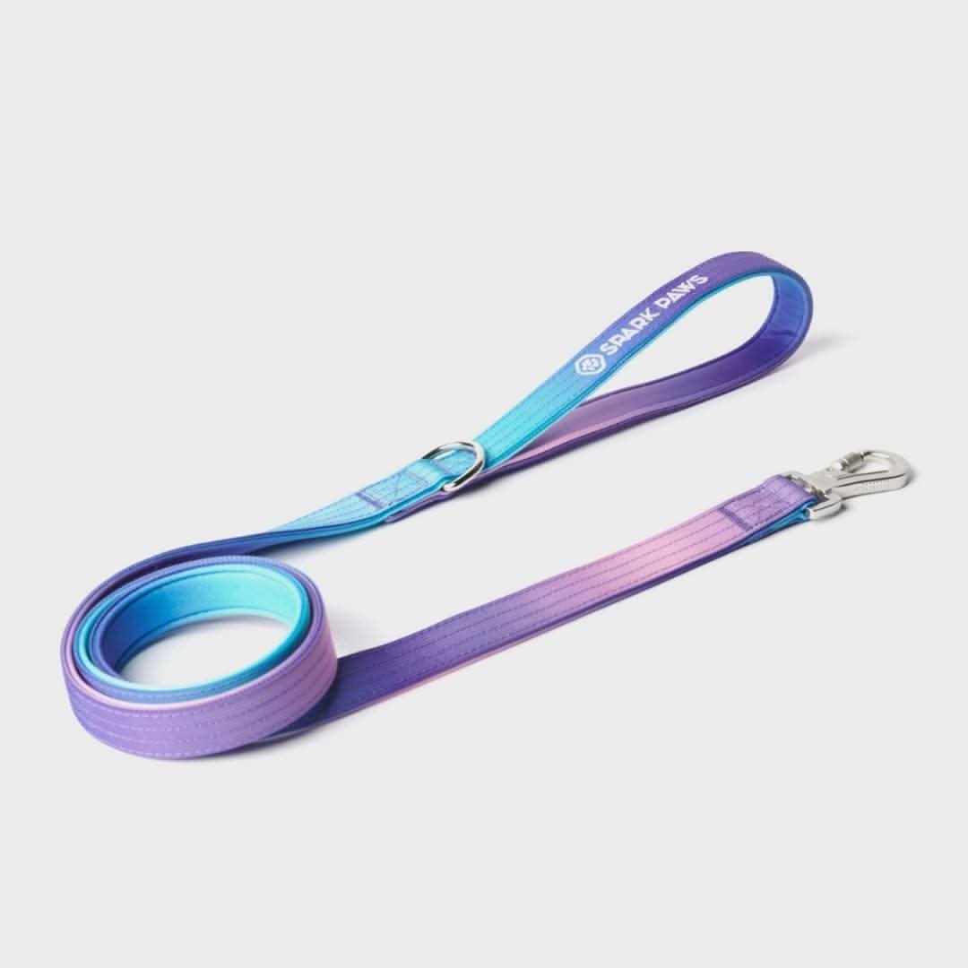 Leash and Poop Bag Holder Set - Image 5