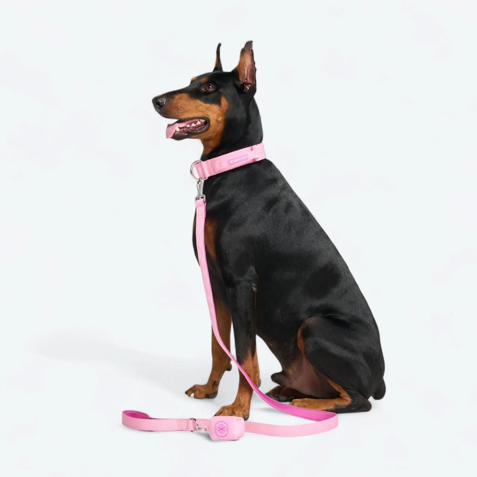 Leash and Poop Bag Holder Set - Image 51
