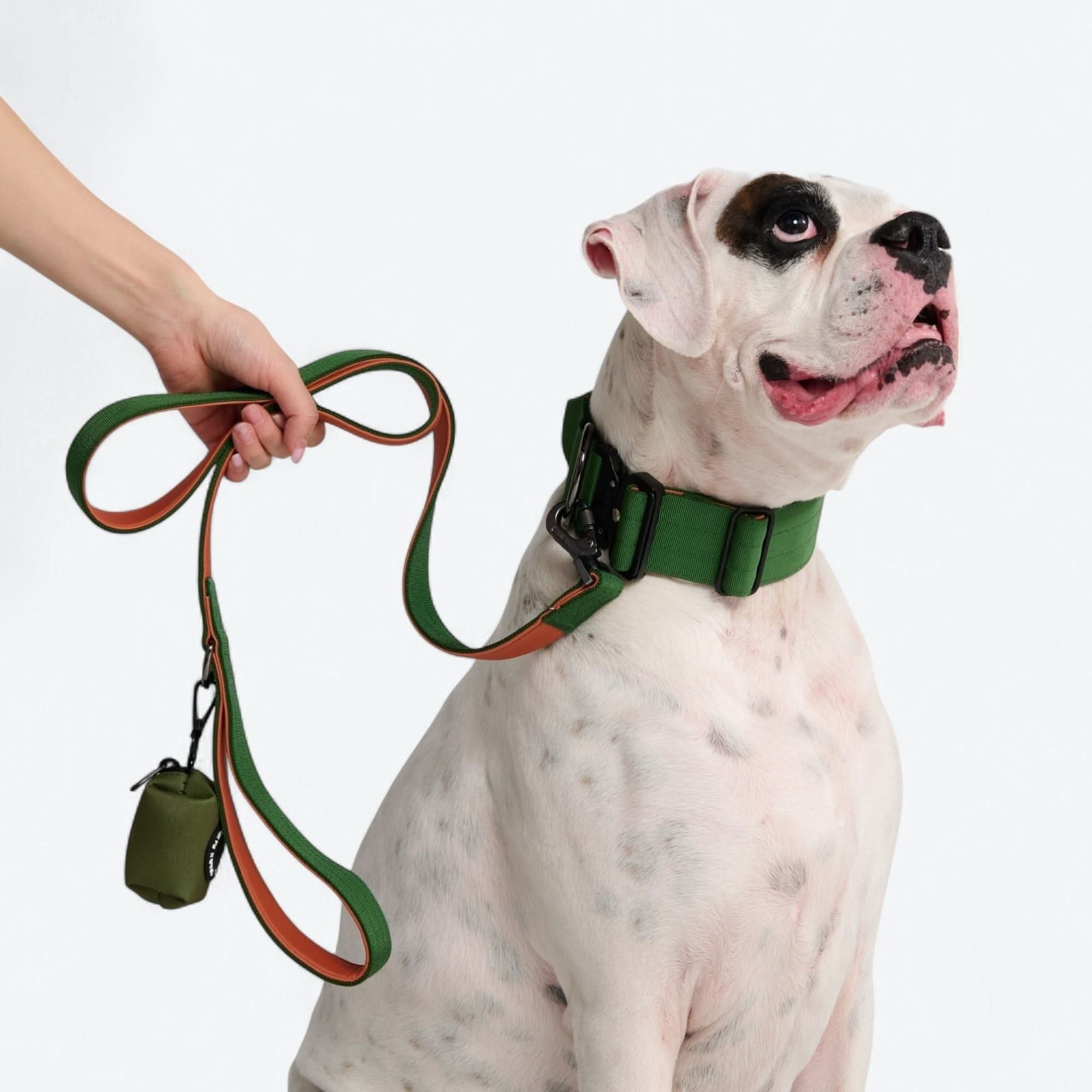 Leash and Poop Bag Holder Set - Image 61