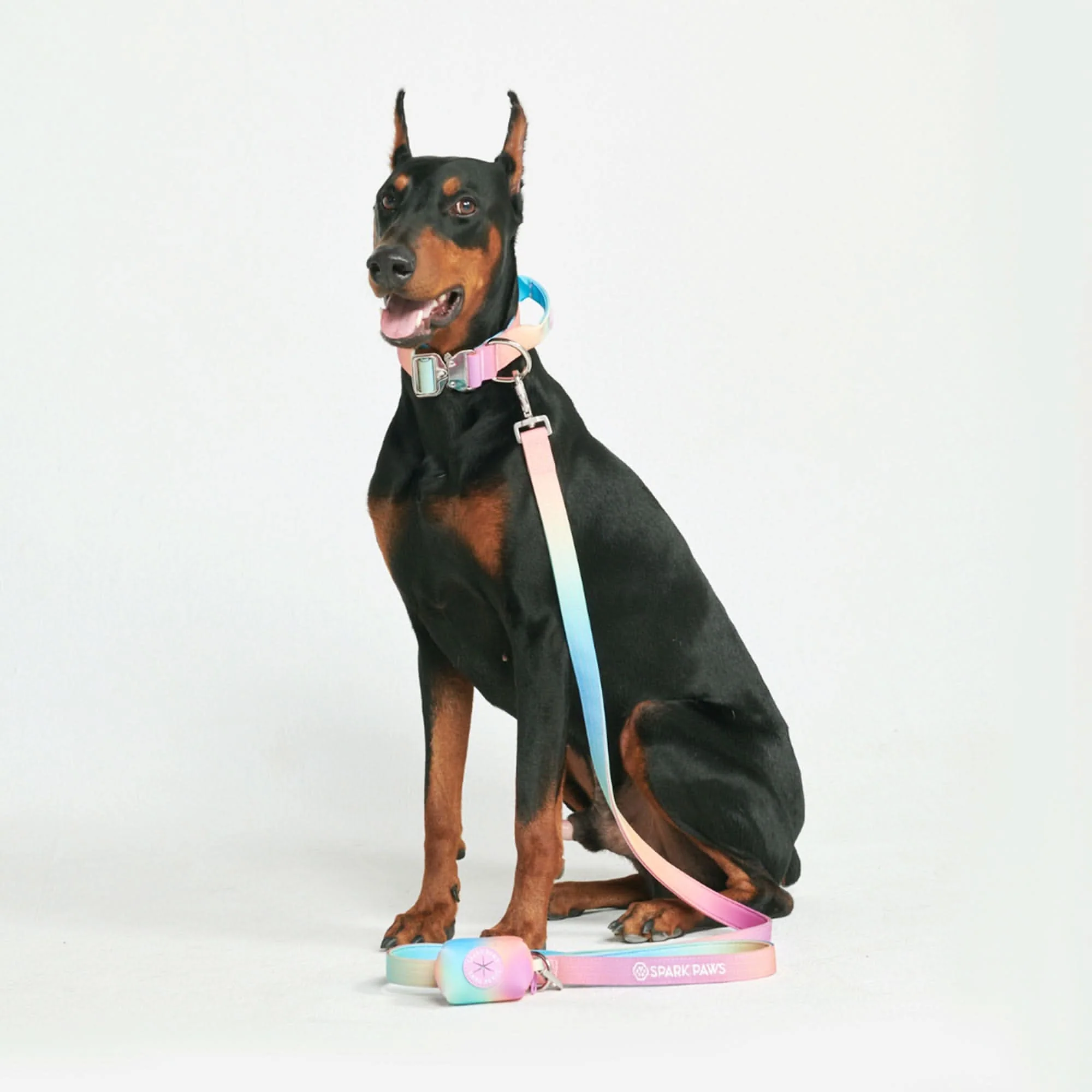 Leash and Poop Bag Holder Set - Image 8