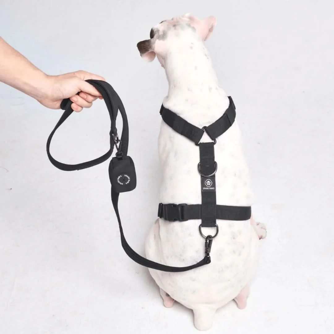 Leash and Poop Bag Holder Set - Black - Image 3