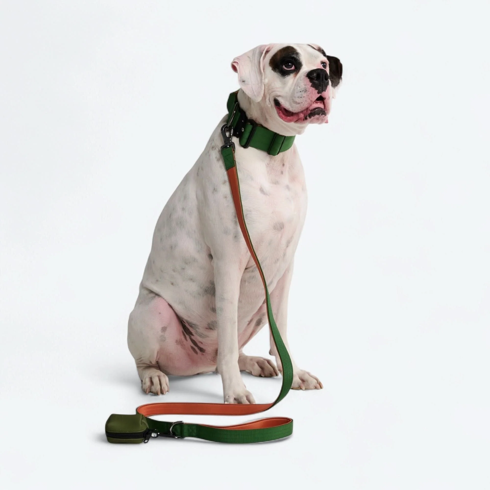 Leash and Poop Bag Holder Set - Green Orange - Image 3