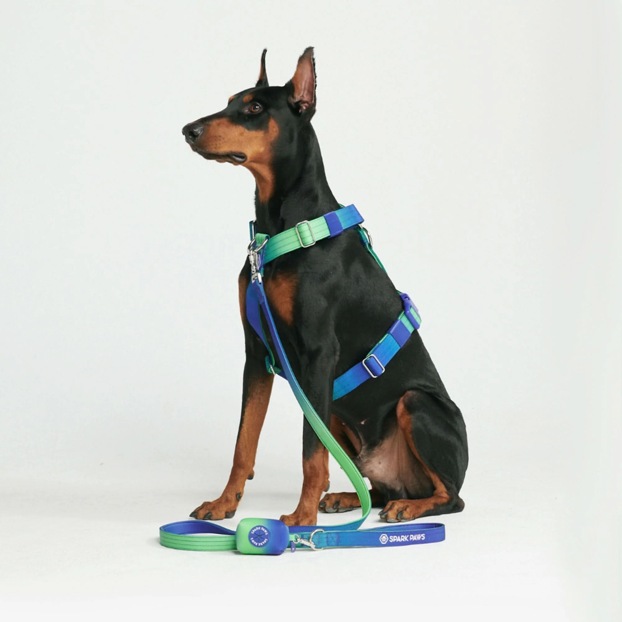 Leash and Poop Bag Holder Set - Lime Wave - Image 4